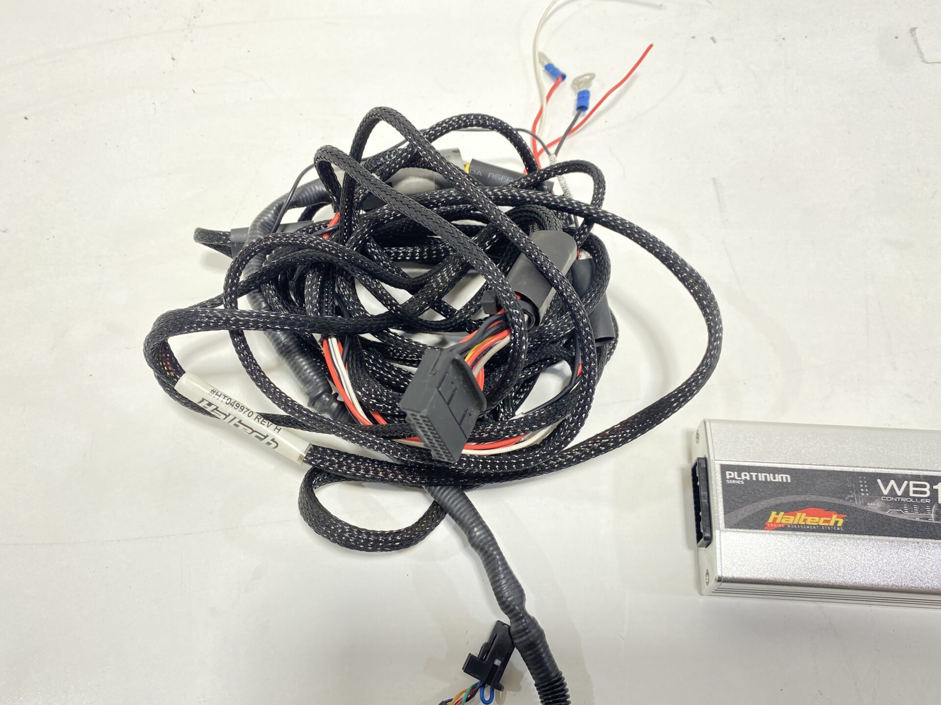 Haltech Wideband Controller WB1 - JDM Garage Australia