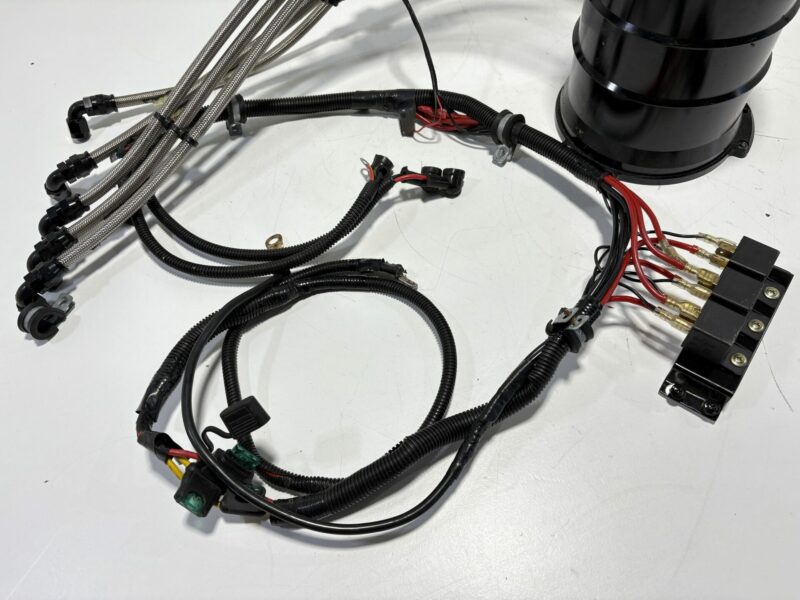 Taarks Surge Tank with Twin Intank Walbro Pumps - Image 3