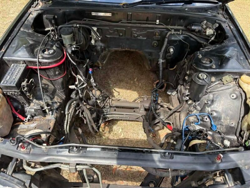 1991 R32 GTST Rolling Shell Track Car - Image 3